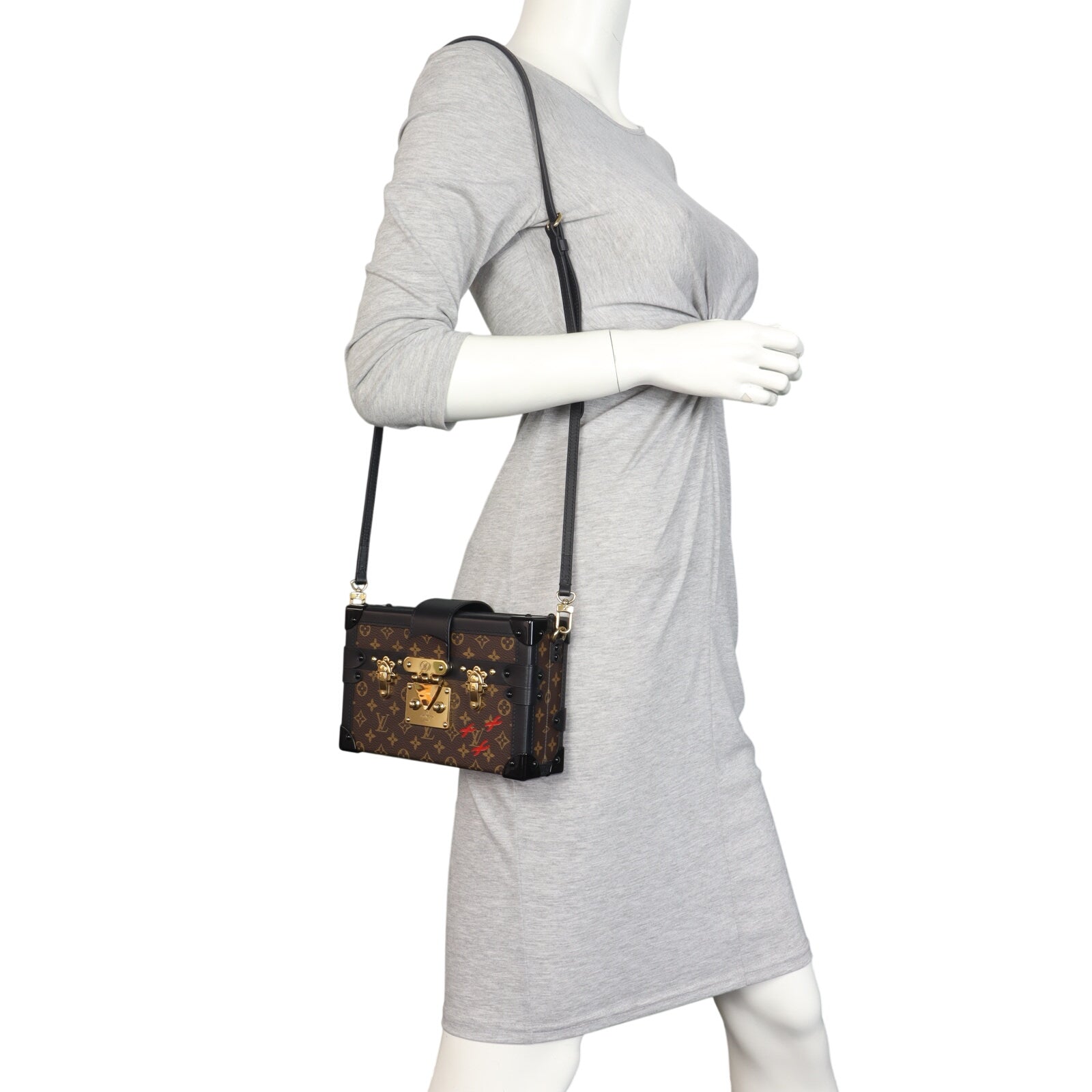 Louis Vuitton Petite Malle Monogram
