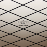 Louis Vuitton Petite Malle Monogram