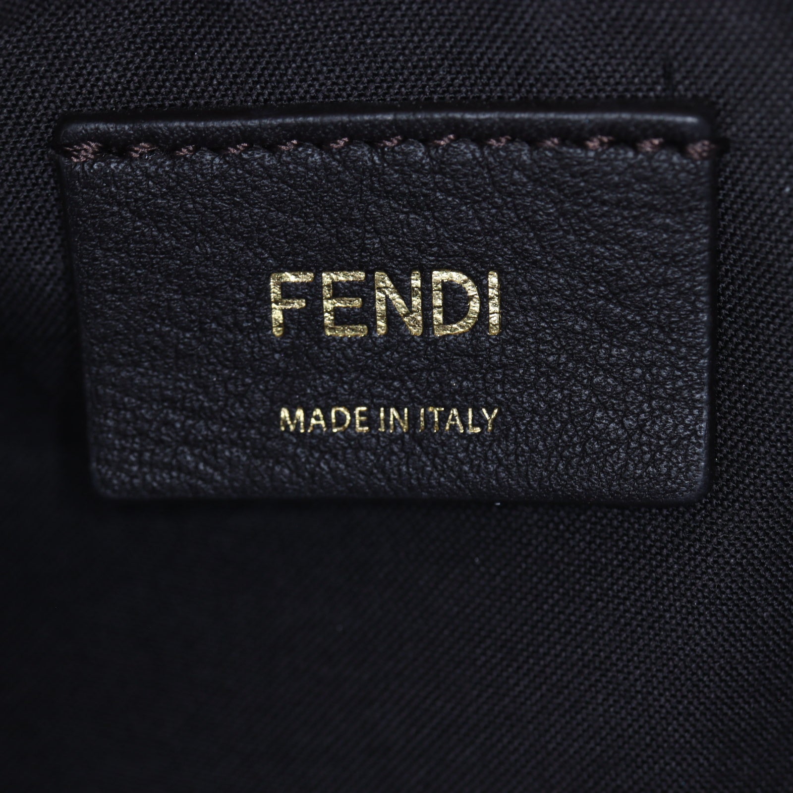 Fendi Fendigraphy Small