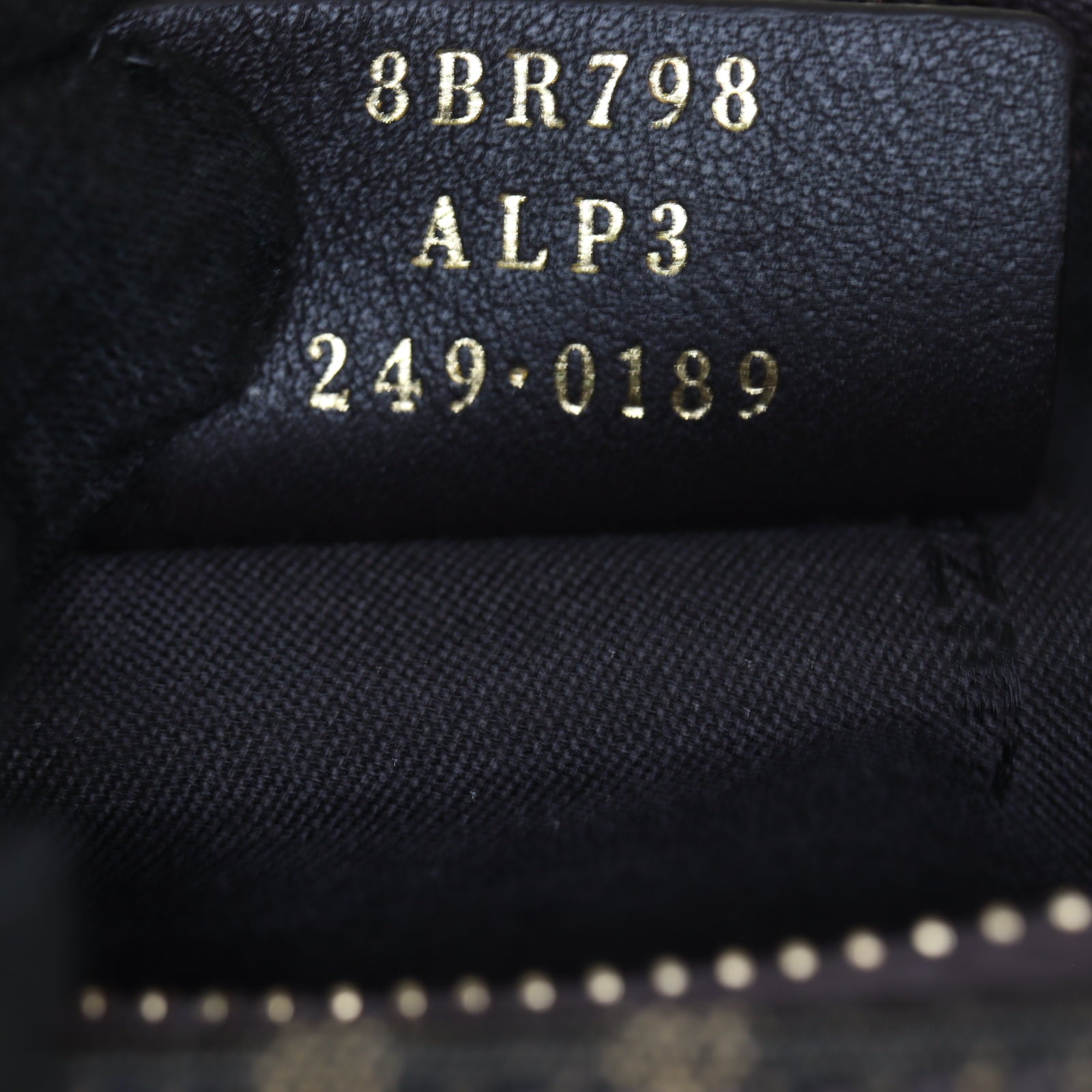 Fendi Fendigraphy Small