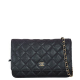 Chanel Classic Wallet on Chain Iridescent
