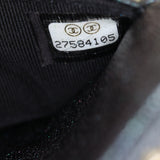Chanel Classic Wallet on Chain Iridescent