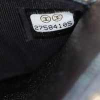 Chanel Classic Wallet on Chain Iridescent
