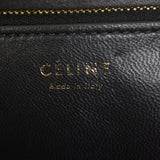 Celine Classic Box Bag Medium Lizard