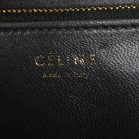 Celine Classic Box Bag Medium Lizard