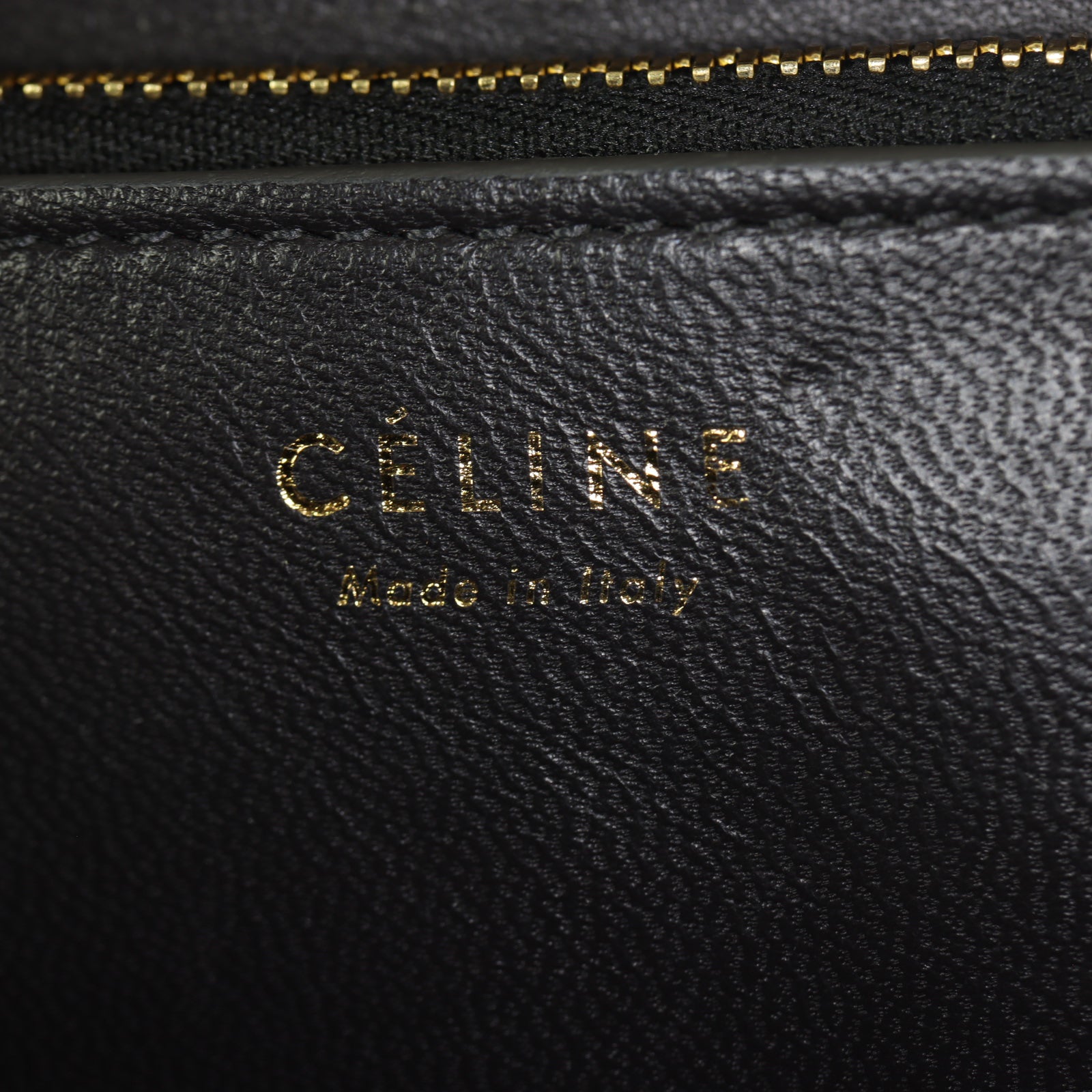Celine Classic Box Bag Medium Lizard