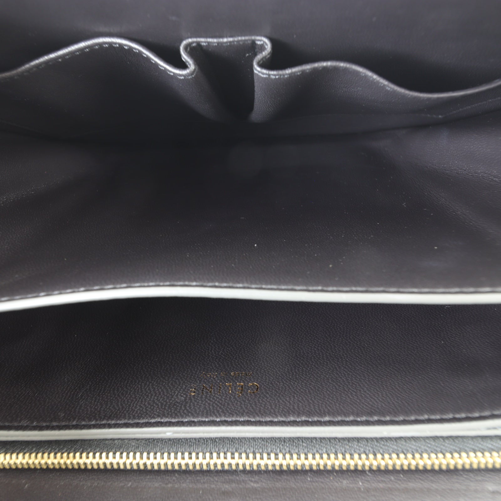 Celine Classic Box Bag Medium Lizard