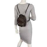 Louis Vuitton Palm Springs Mini Backpack Monogram