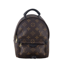 Louis Vuitton Palm Springs Mini Backpack Monogram
