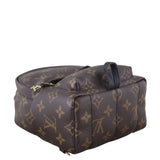 Louis Vuitton Palm Springs Mini Backpack Monogram