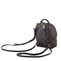 Louis Vuitton Palm Springs Mini Backpack Monogram