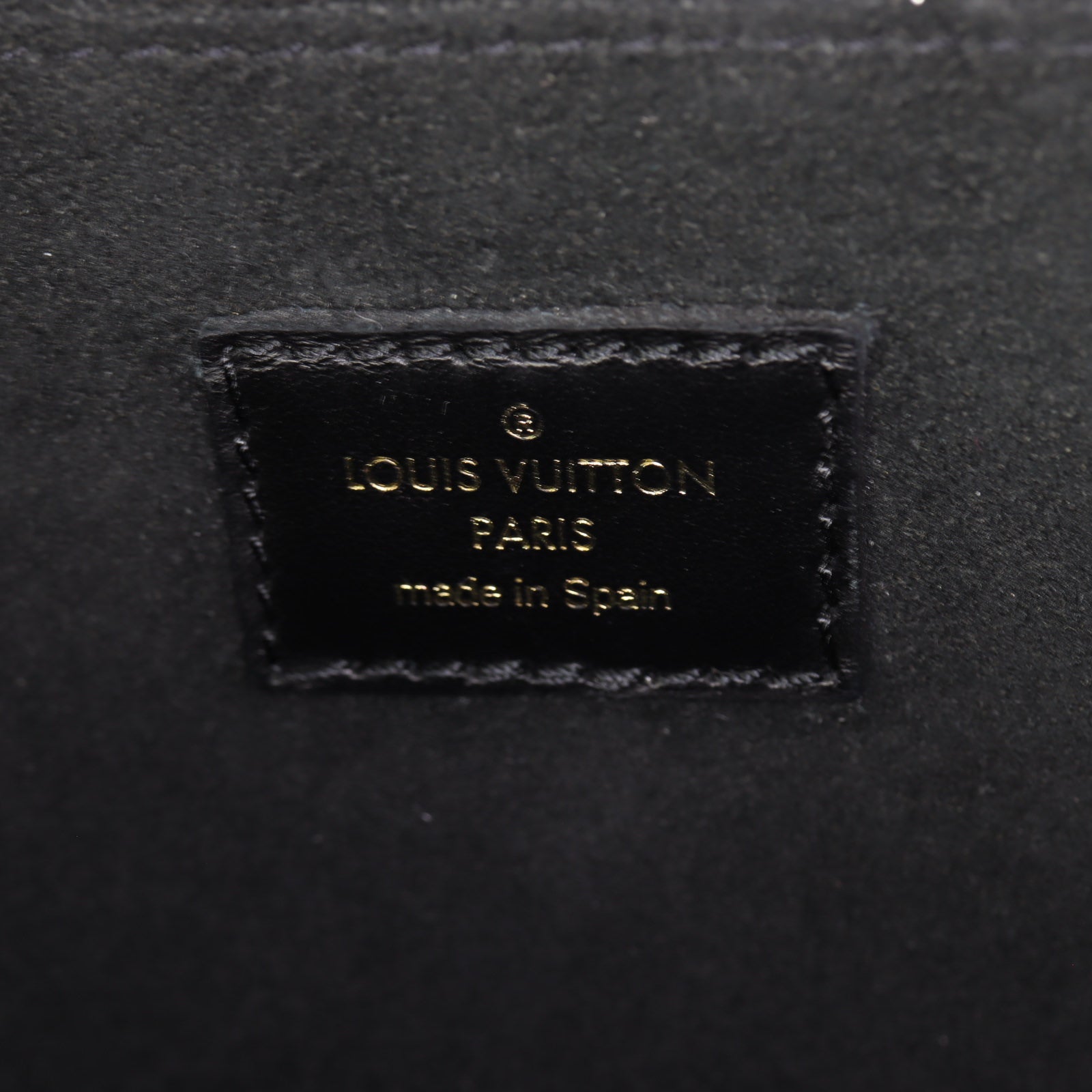 Louis Vuitton Dauphine MM Epi
