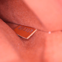 Louis Vuitton NeoNoe Epi
