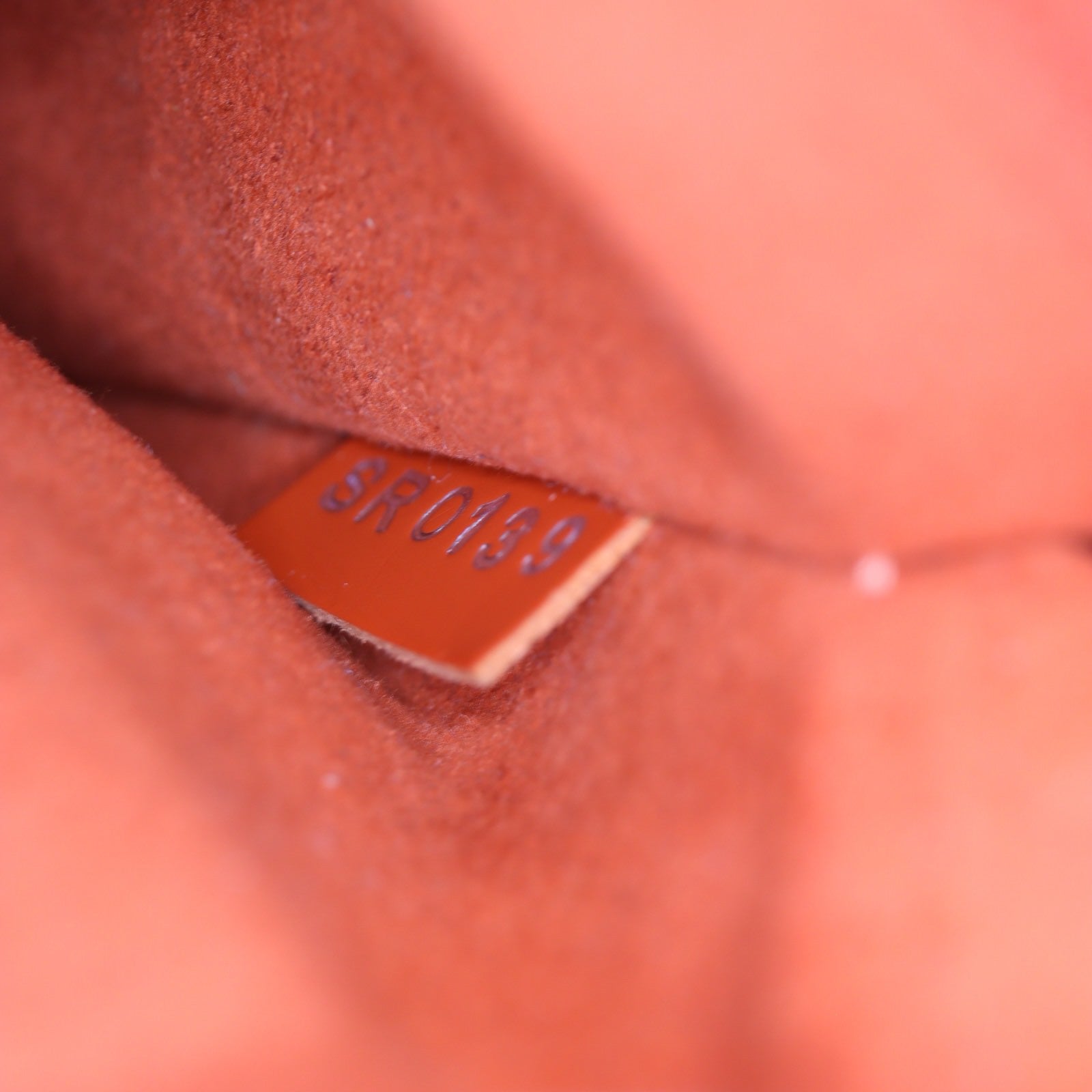 Louis Vuitton NeoNoe Epi