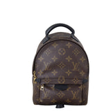 Louis Vuitton Palm Springs Mini Backpack Monogram