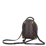 Louis Vuitton Palm Springs Mini Backpack Monogram