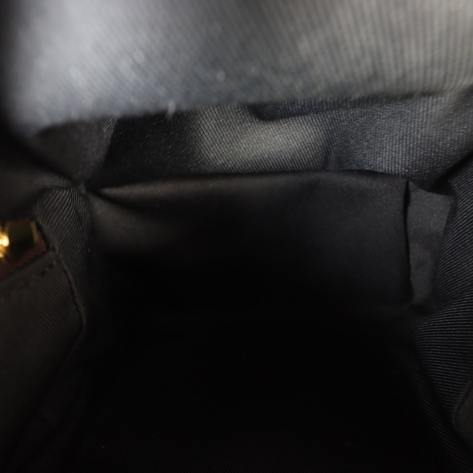 Louis Vuitton Palm Springs Mini Backpack Monogram