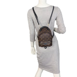 Louis Vuitton Palm Springs Mini Backpack Monogram