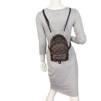 Louis Vuitton Palm Springs Mini Backpack Monogram