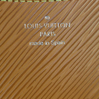 Louis Vuitton Buci Epi