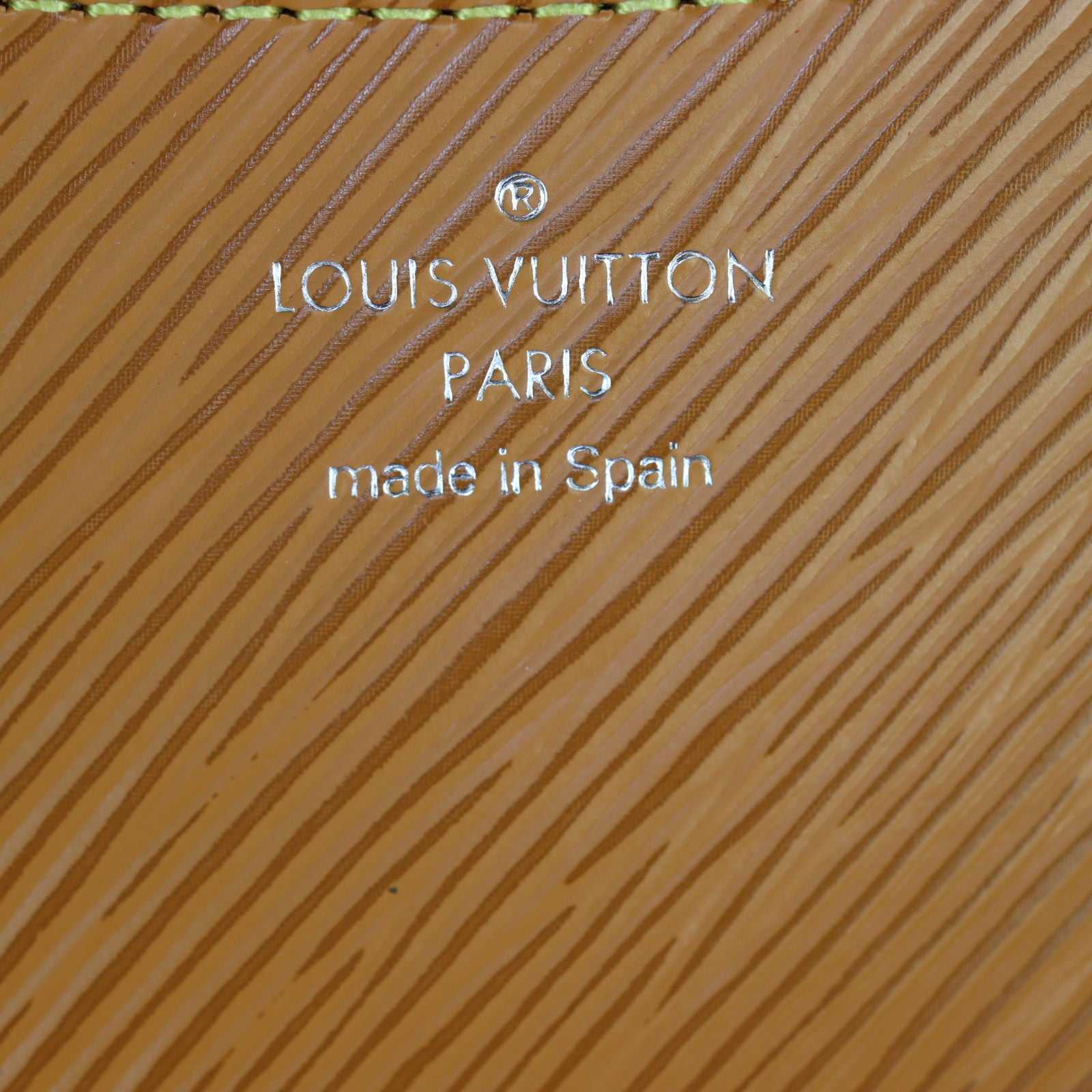 Louis Vuitton Buci Epi