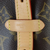 Louis Vuitton CarryAll PM Monogram
