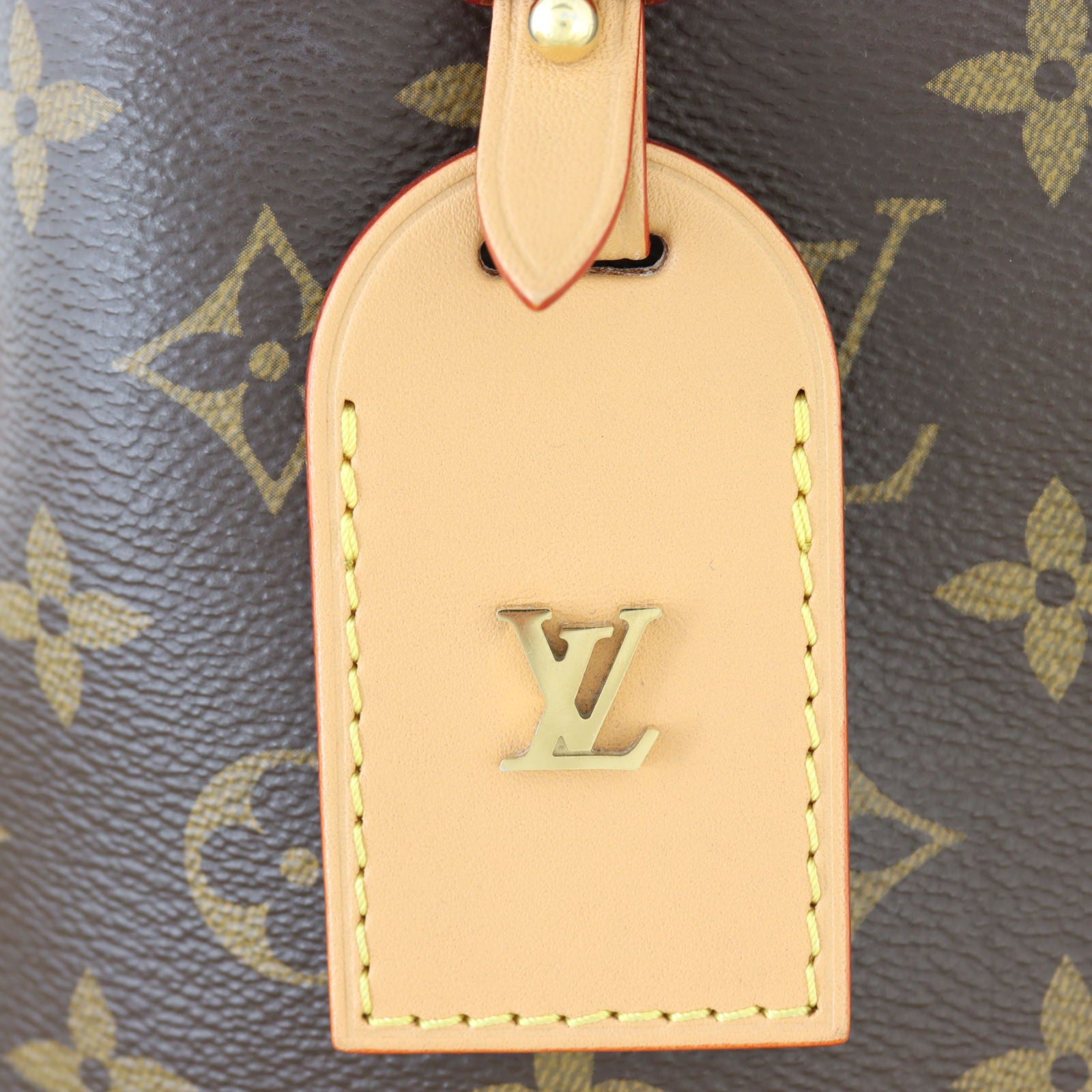 Louis Vuitton CarryAll PM Monogram