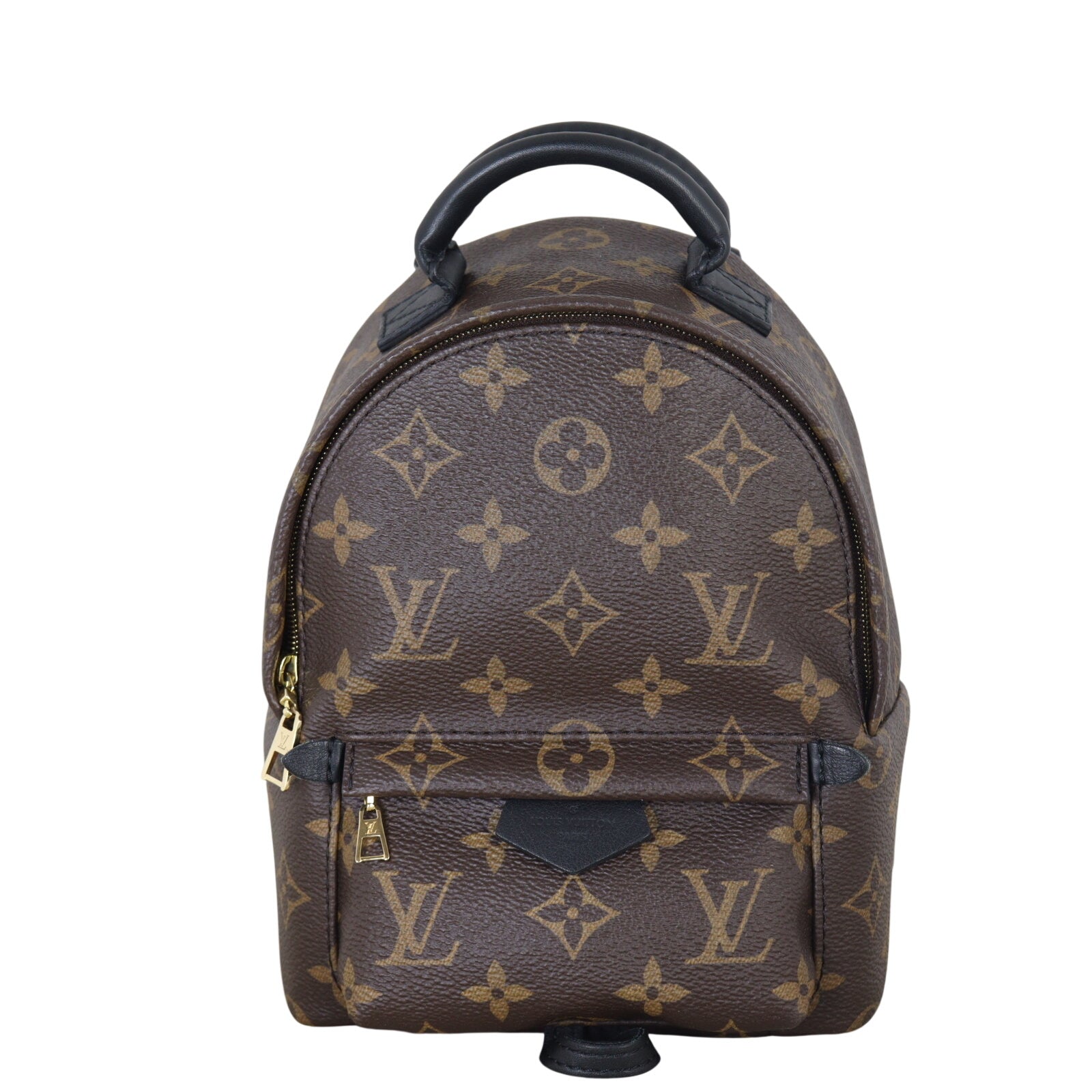 Louis Vuitton Palm Springs Mini Backpack Monogram
