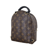 Louis Vuitton Palm Springs Mini Backpack Monogram