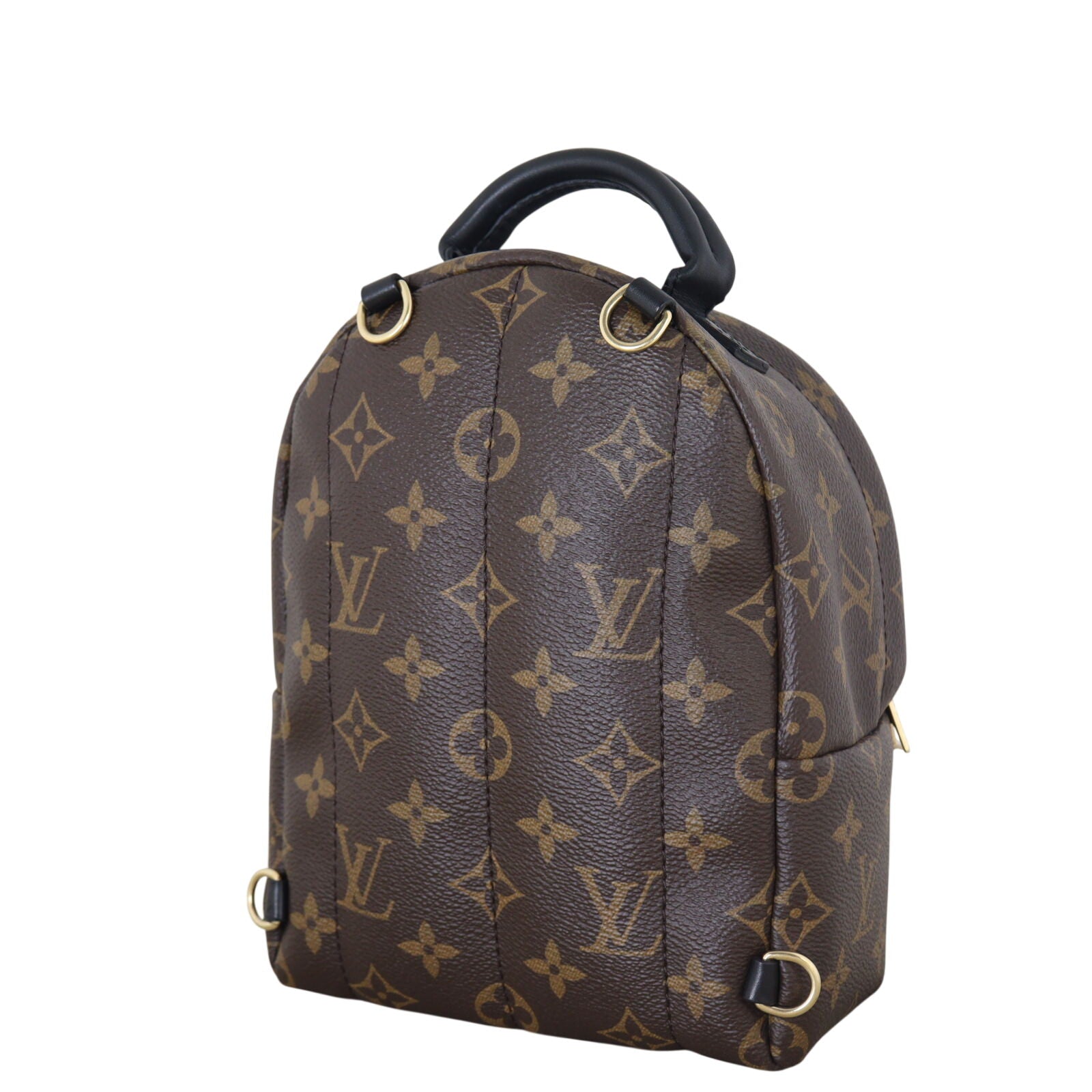 Louis Vuitton Palm Springs Mini Backpack Monogram