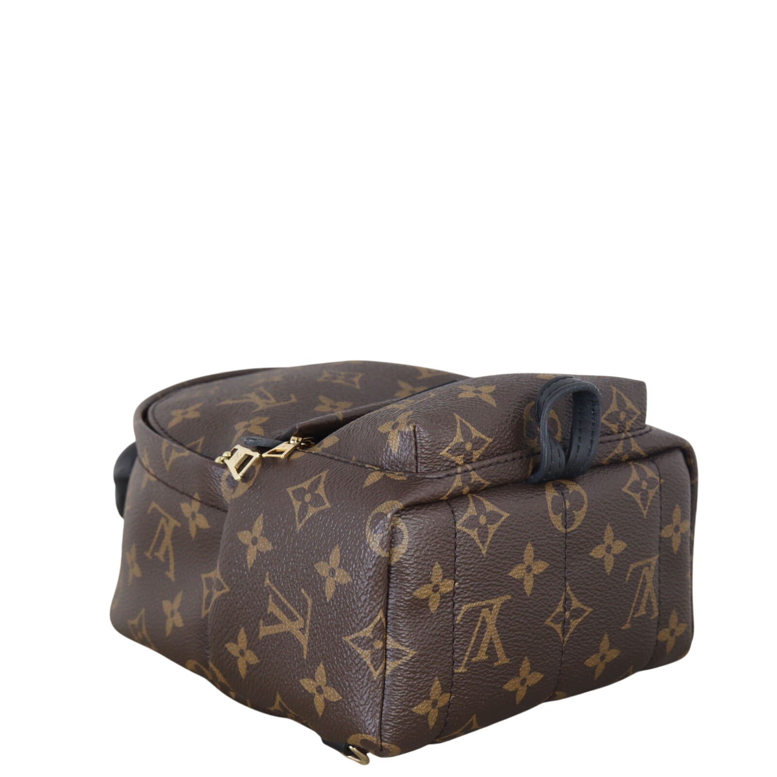 Louis Vuitton Palm Springs Mini Backpack Monogram