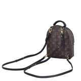 Louis Vuitton Palm Springs Mini Backpack Monogram