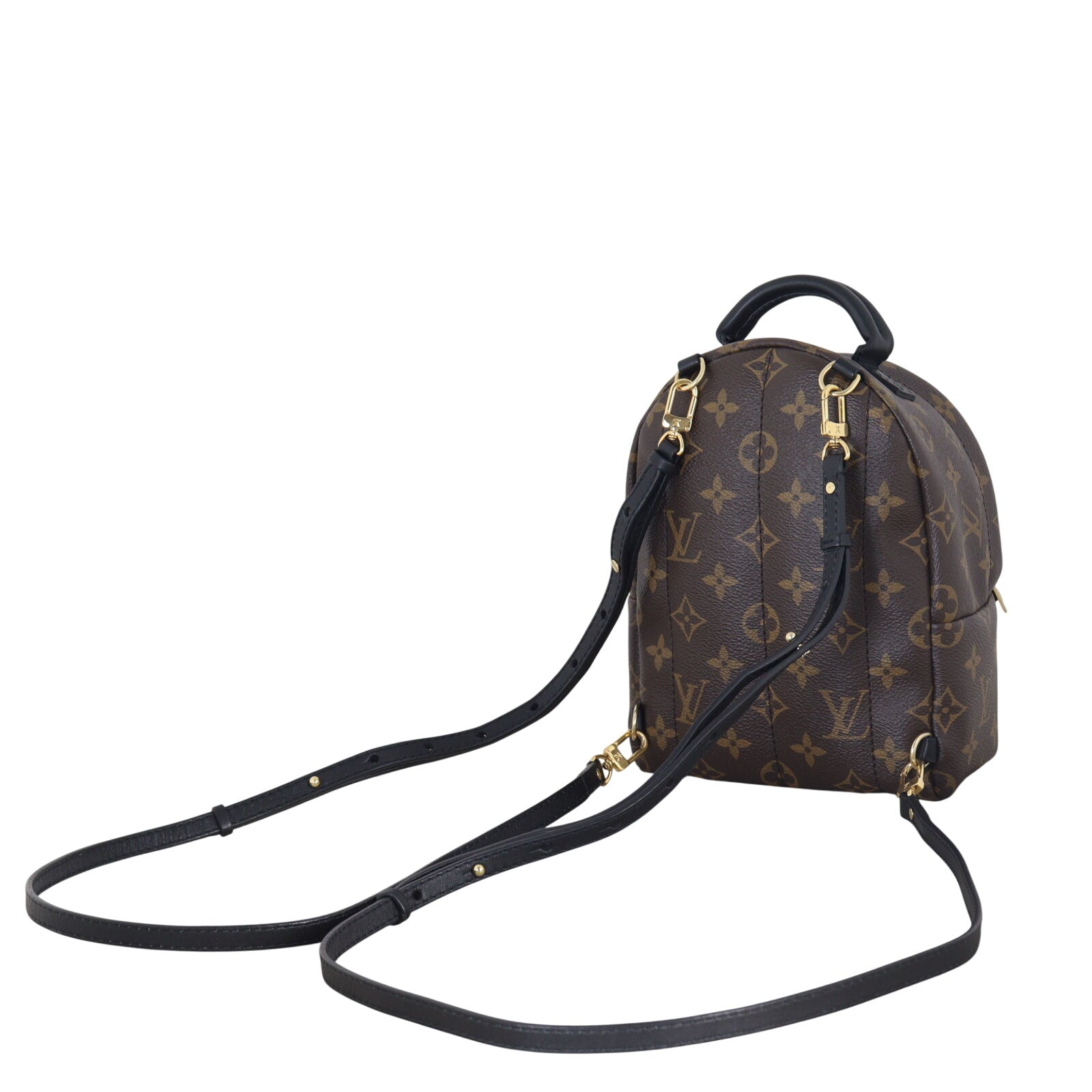 Louis Vuitton Palm Springs Mini Backpack Monogram