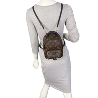 Louis Vuitton Palm Springs Mini Backpack Monogram