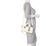Dior Lady D-Joy Small