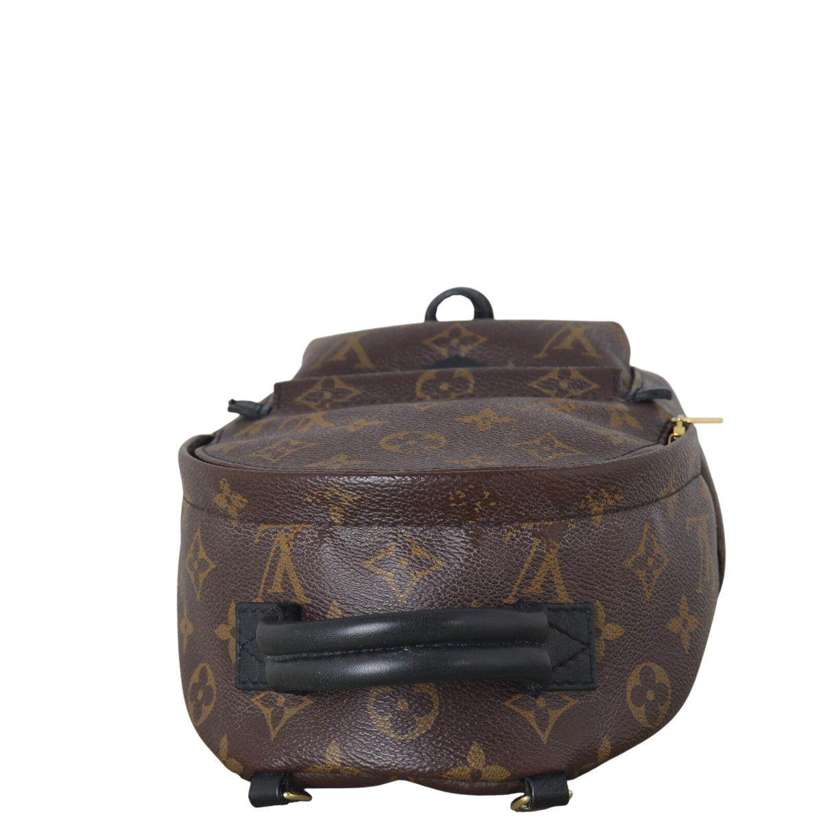 Louis Vuitton Palm Springs Mini Backpack Monogram