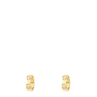 Cartier Love Classic Hoop 18k Yellow Gold Earrings_IMG_0376.jpg
