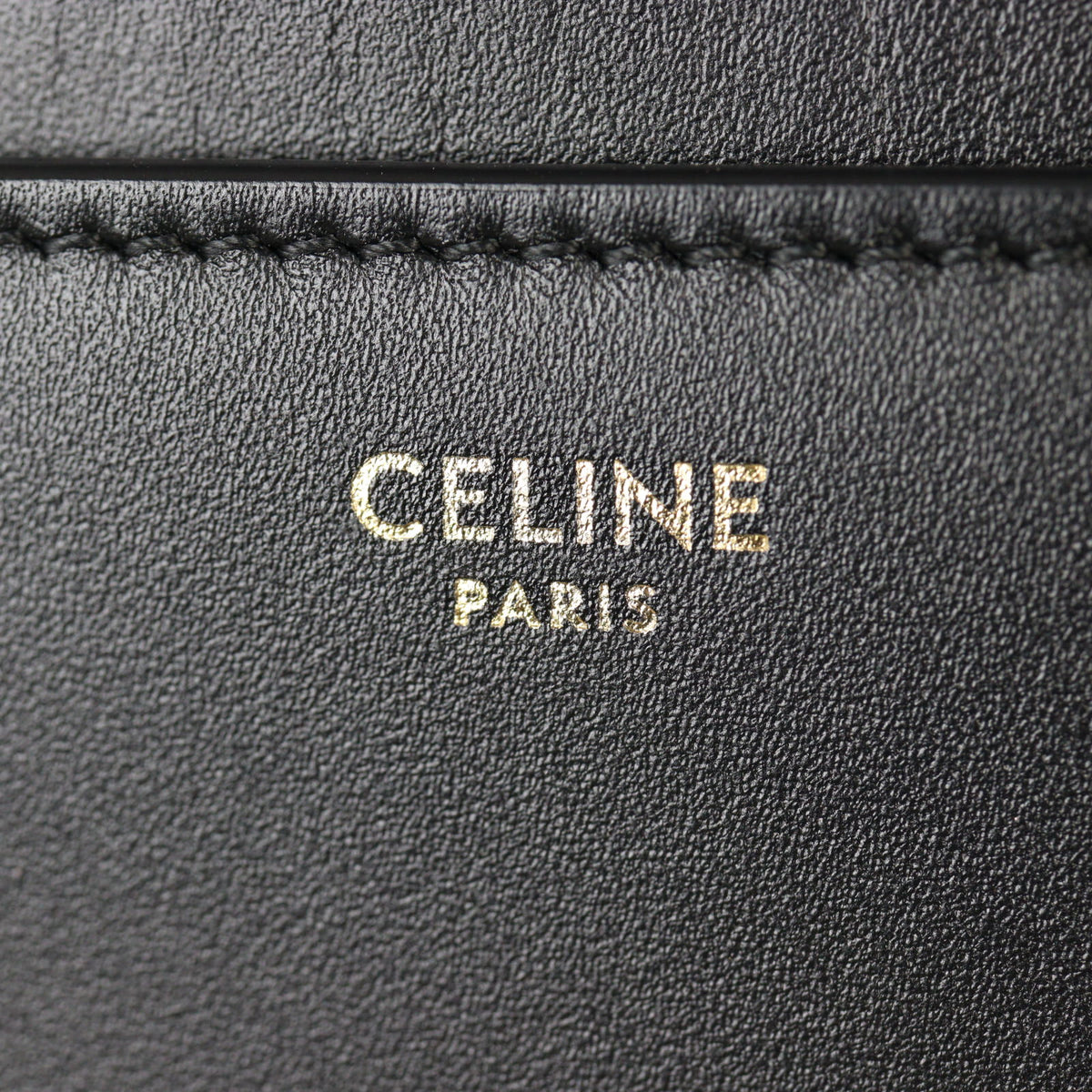 Celine 16 Medium_IMG_8747.jpg