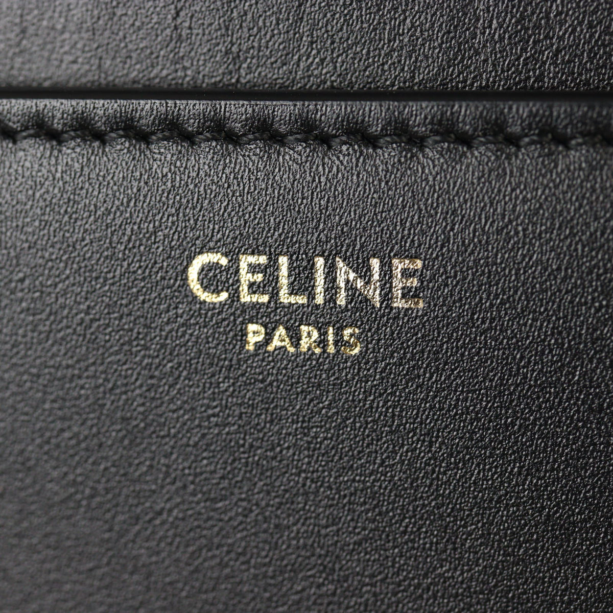 Celine 16 Medium_IMG_8748.jpg