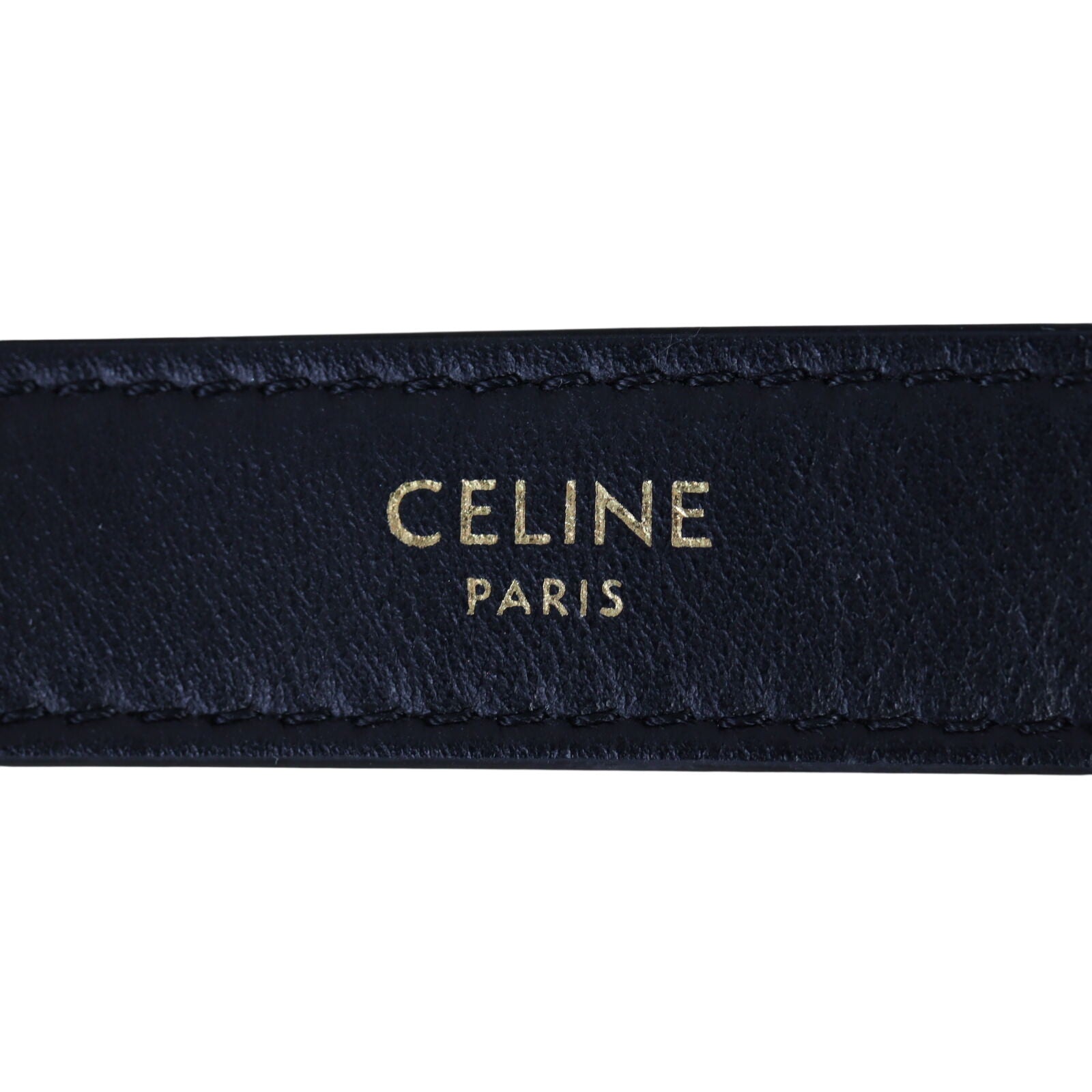 Celine Ava Triomphe Hobo Medium_IMG_1339.jpeg