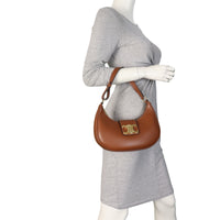 Celine Ava Triomphe Hobo Medium_IMG_4663.jpeg