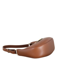 Celine Ava Triomphe Hobo Medium_IMG_4749.jpeg
