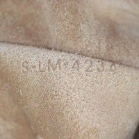 Celine Ava Triomphe Hobo Medium_IMG_4755.jpg