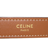 Celine Ava Triomphe Hobo Medium_IMG_4756.jpeg