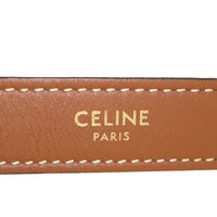 Celine Ava Triomphe Hobo Medium_IMG_4756.jpeg