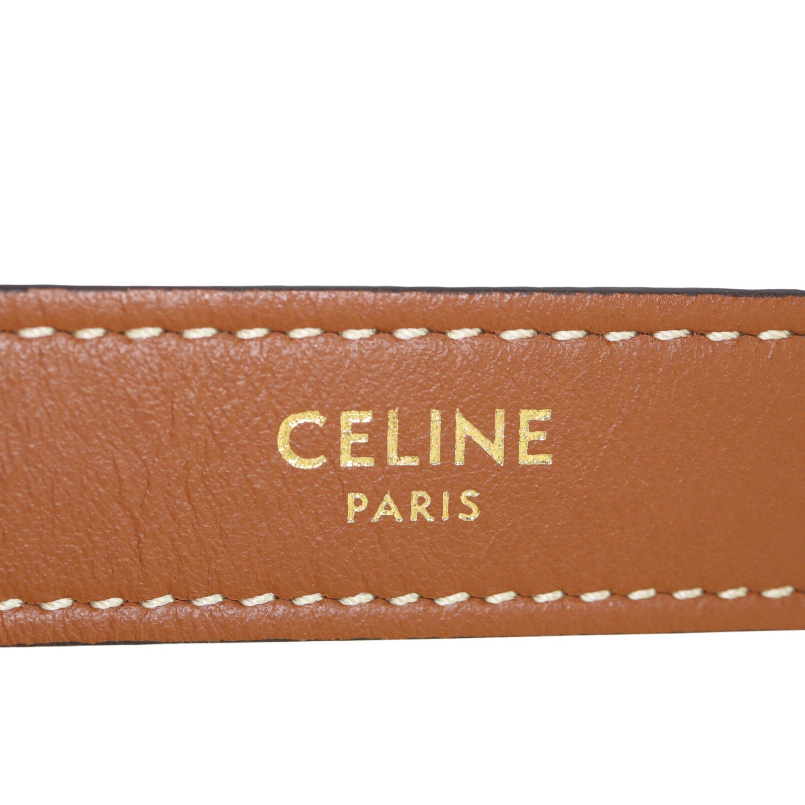 Celine Ava Triomphe Hobo Medium_IMG_4756.jpeg
