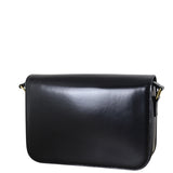 Celine Classique Triomphe Crossbody_IMG_1495.jpeg