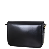 Celine Classique Triomphe Crossbody_IMG_1495.jpeg