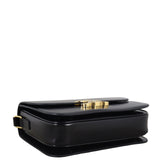 Celine Classique Triomphe Crossbody_IMG_1497.jpeg