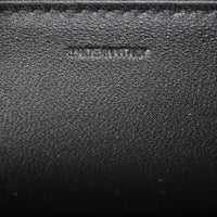Celine Classique Triomphe Crossbody_IMG_1502.jpg